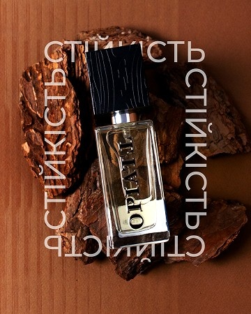Креативи, які ми створили