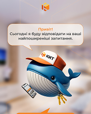 Креативы, которые мы создали