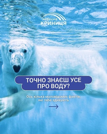 Деякі з наших робіт